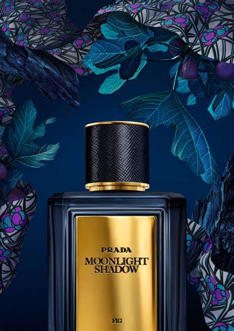 Mirages Moonlight Shadow Prada for women and men .